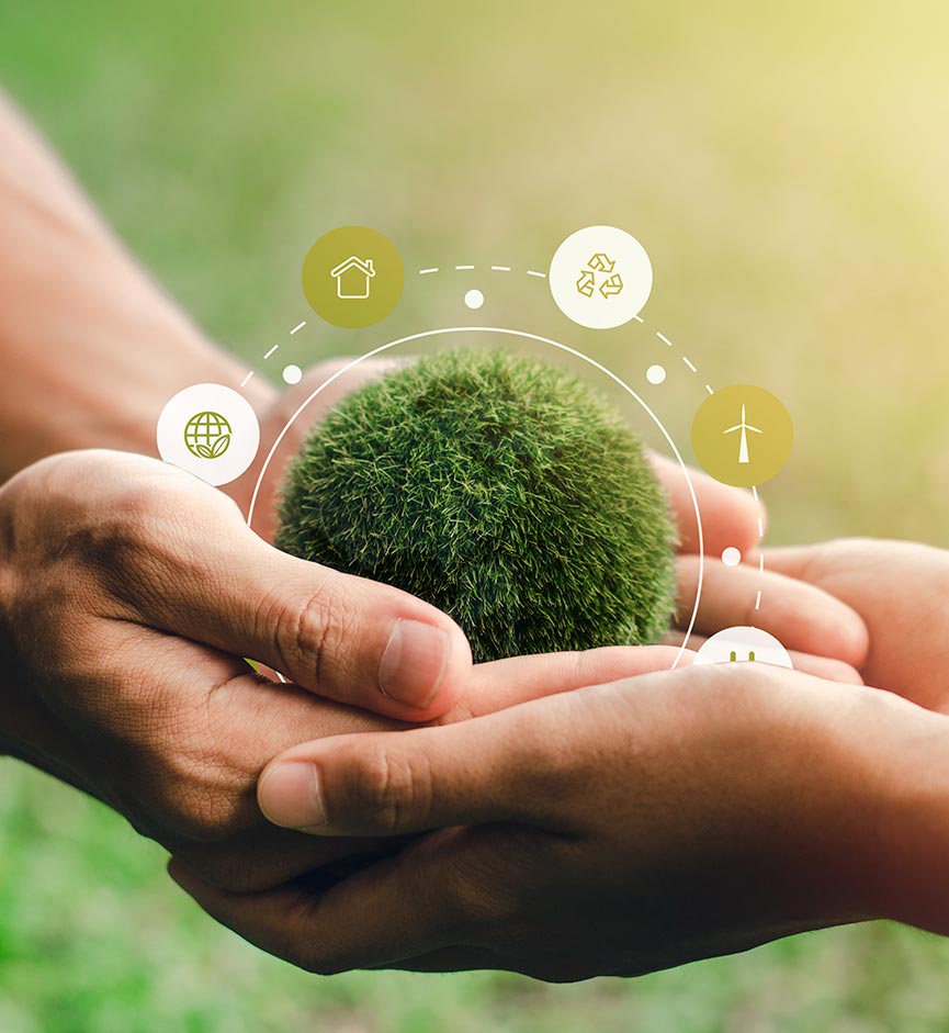 Zamia Composite Research And Development Technology Inc.